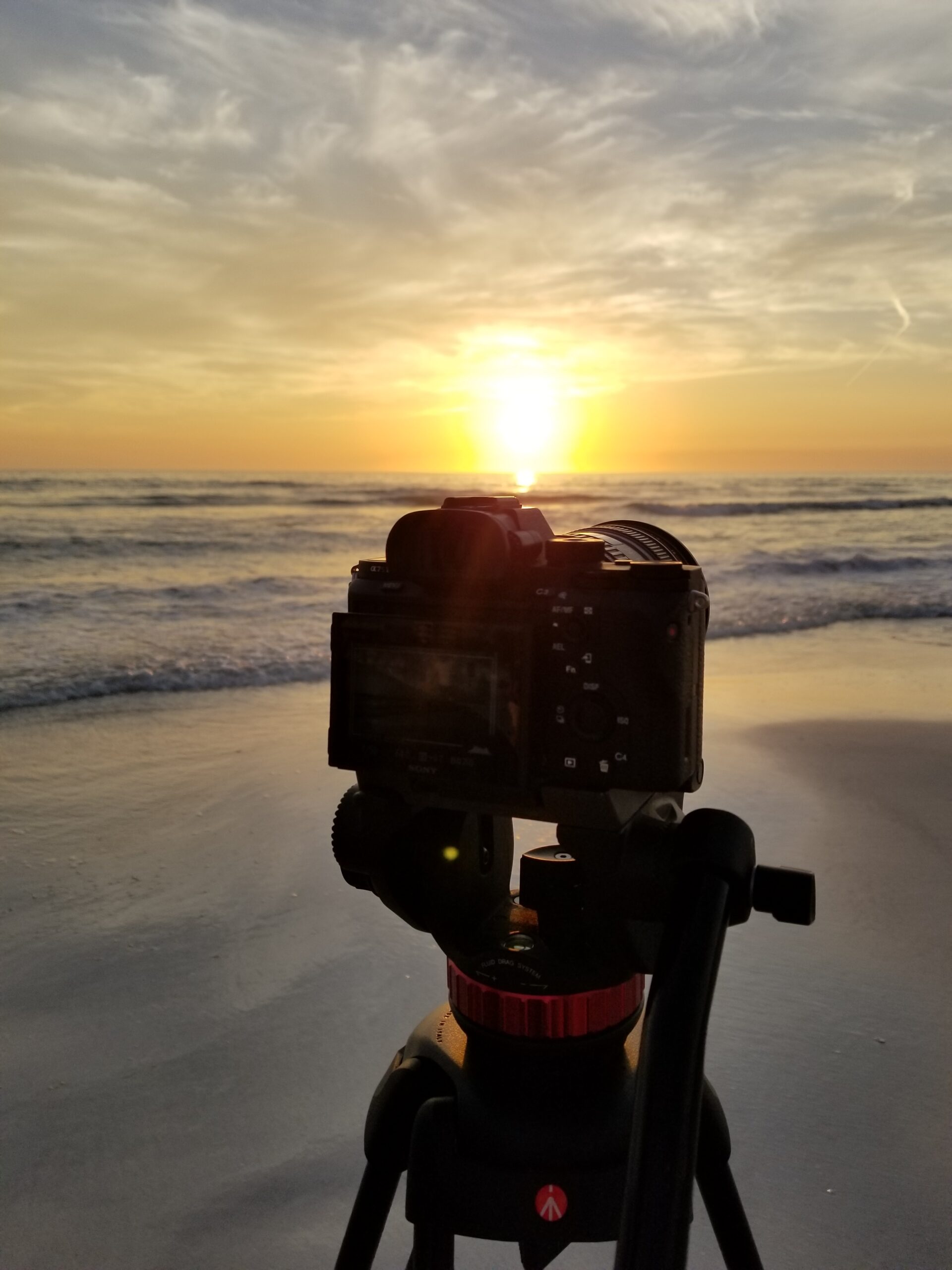 Beauty Shots